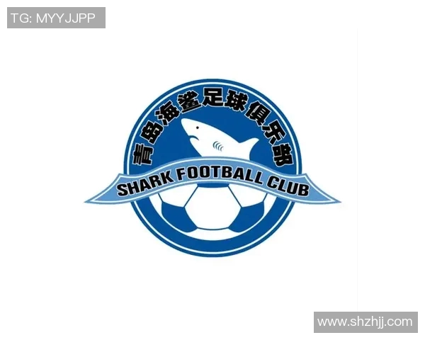 大海足球logo设计灵感与创意解析，探索海洋元素与足球文化的完美结合